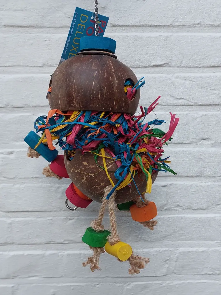 COCONUT FUN | Fun4Parrots